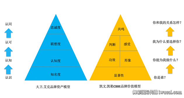 舞彩国际传媒