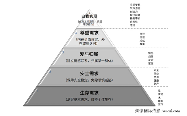 舞彩国际传媒