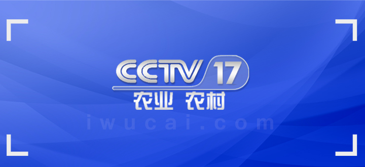 央视广告价格,央视广告收费标准