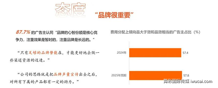 舞彩国际传媒
